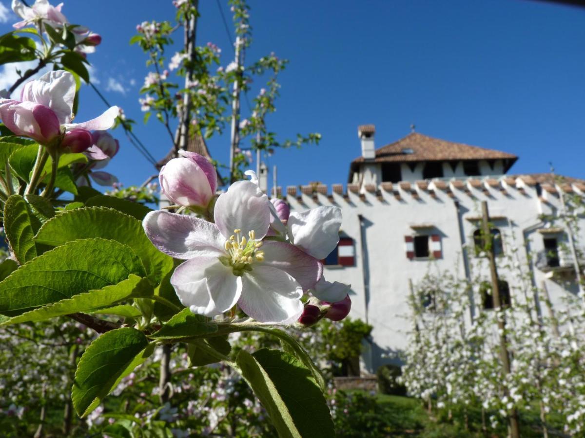 Apartments Schloss Paschbach Appiano Sulla Strada Del Vino Εξωτερικό φωτογραφία