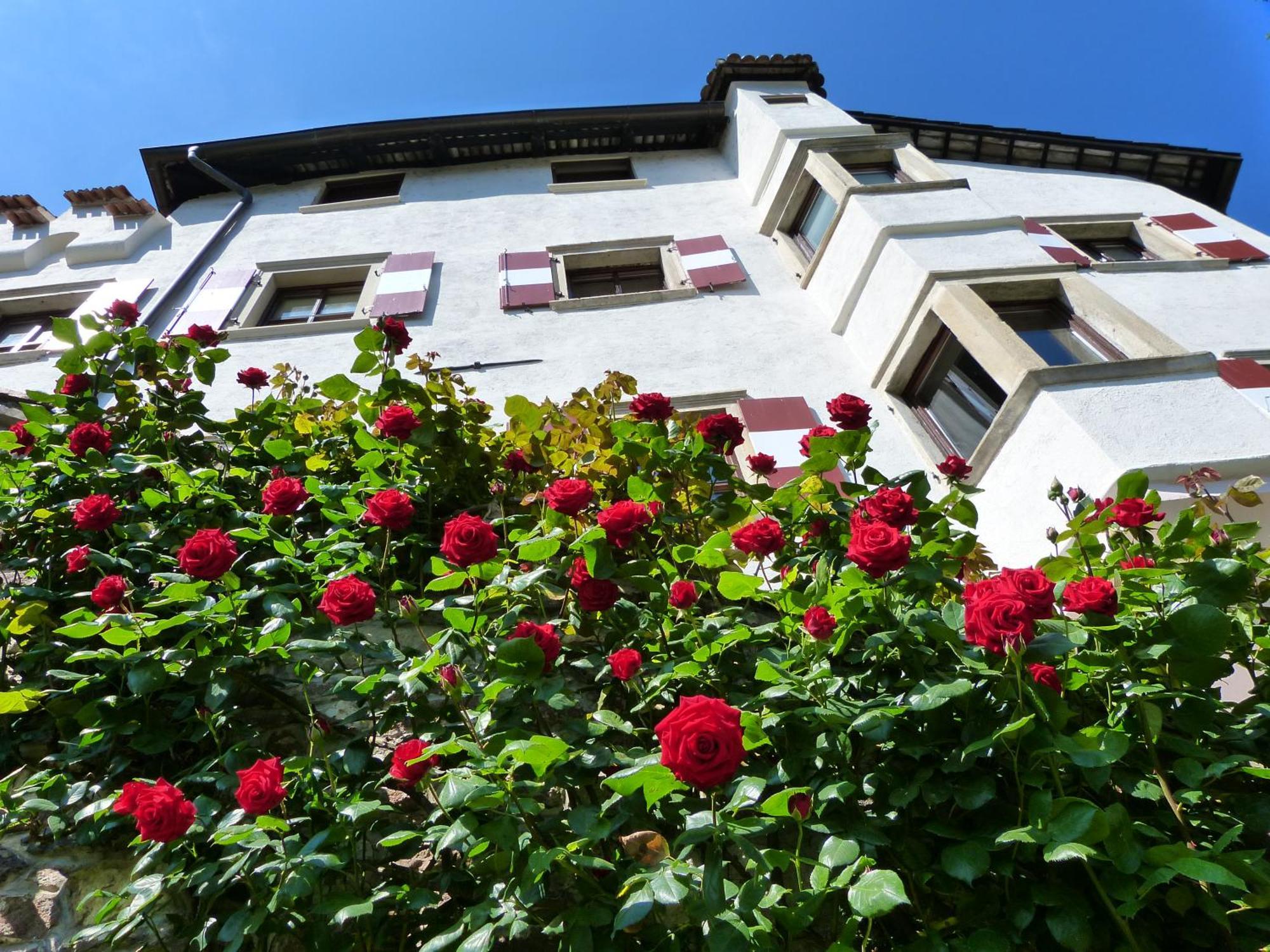 Apartments Schloss Paschbach Appiano Sulla Strada Del Vino Εξωτερικό φωτογραφία