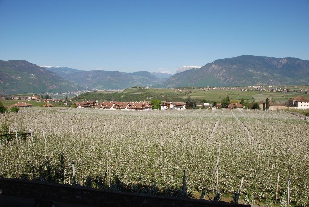 Apartments Schloss Paschbach Appiano Sulla Strada Del Vino Εξωτερικό φωτογραφία