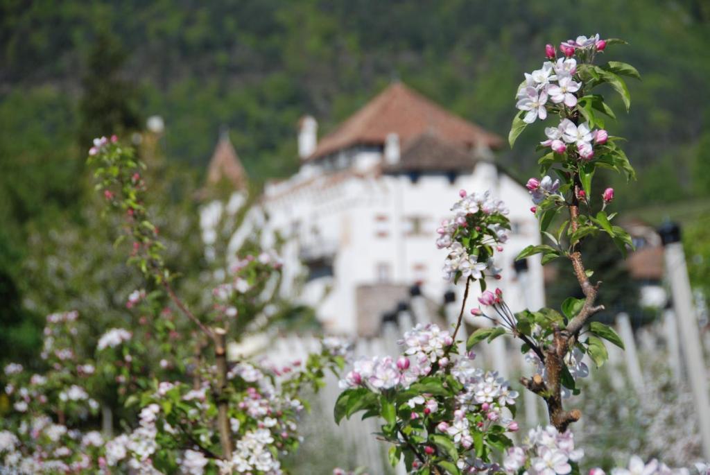 Apartments Schloss Paschbach Appiano Sulla Strada Del Vino Εξωτερικό φωτογραφία
