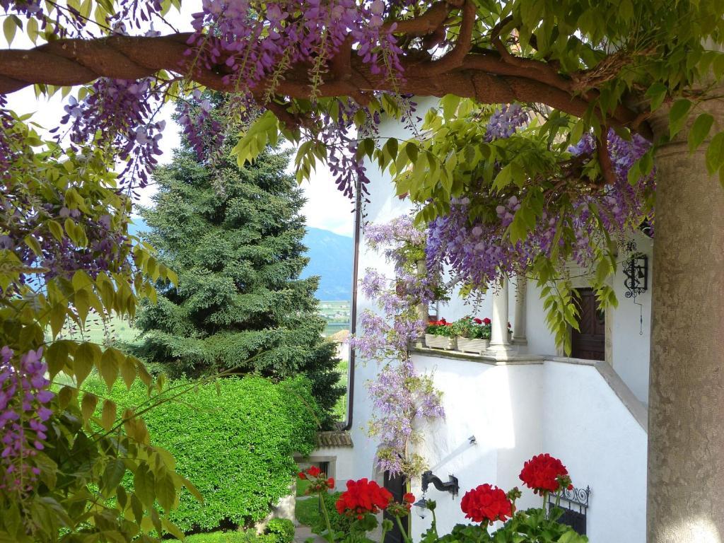 Apartments Schloss Paschbach Appiano Sulla Strada Del Vino Εξωτερικό φωτογραφία